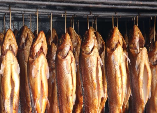 smoked-fish-411485_960_720